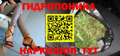 индика Тверь