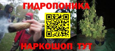 mdma Тара
