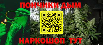 индика Тверь